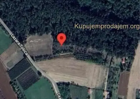 Prodajem zemljiste Krušedol-Irig - 3/12