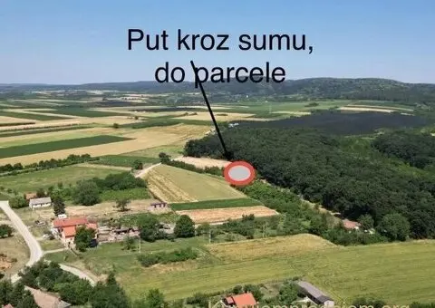 Prodajem zemljiste Krušedol-Irig - 4/12