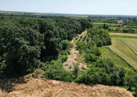 Prodajem zemljiste Krušedol-Irig - 5/12