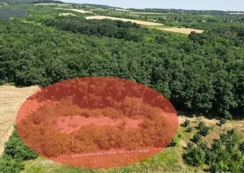 Prodajem zemljiste Krušedol-Irig - 6/12