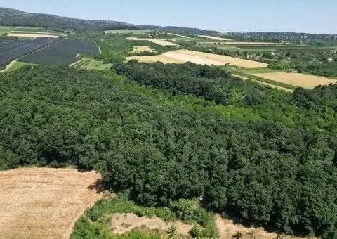 Prodajem zemljiste Krušedol-Irig - 8/12