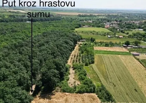 Prodajem zemljiste Krušedol-Irig - 9/12