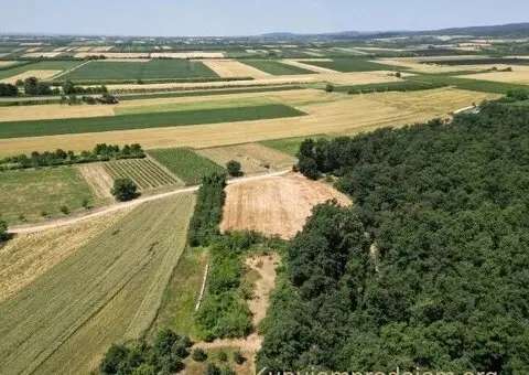 Prodajem zemljiste Krušedol-Irig - 10/12