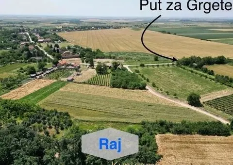 Prodajem zemljiste Krušedol-Irig - 11/12