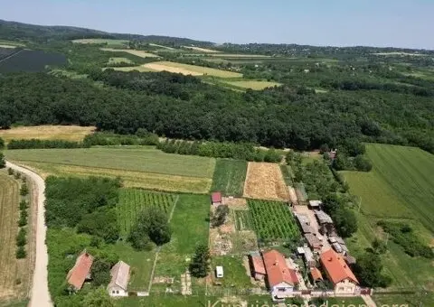 Prodajem zemljiste Krušedol-Irig - 12/12