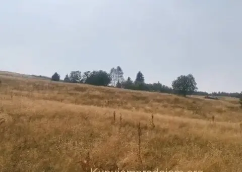 Plac na Kopaoniku-Kriva Reka - 2/7