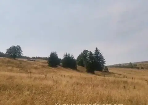 Plac na Kopaoniku-Kriva Reka - 3/7