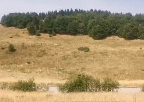 Plac na Kopaoniku-Kriva Reka - 5/7