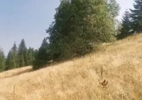 Plac na Kopaoniku-Kriva Reka - 7/7