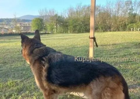 Plac u Sopotu sa pogledom na Kosmaj - 11/13