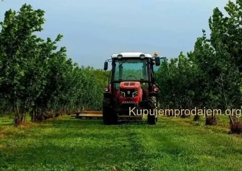 Plantaža lešnika-Sremska Mitrovica-Ležimir 378ari - 7/14