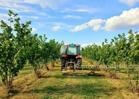 Plantaža lešnika-Sremska Mitrovica-Ležimir 378ari - 13/14