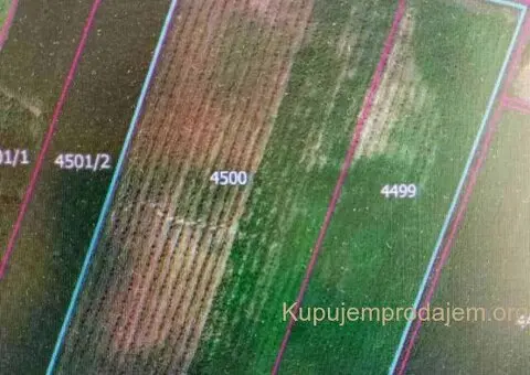 Plantaža lešnika-Sremska Mitrovica-Ležimir 378ari - 14/14