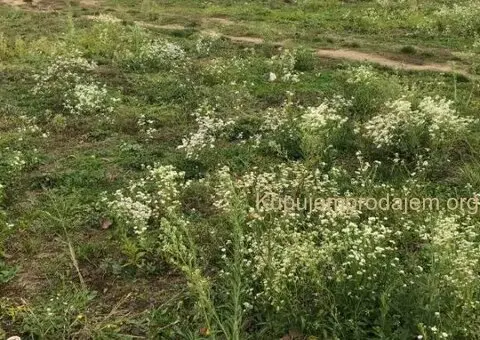 Prodajem plac u Loznici - 5/7