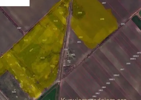 Poljoprivredno zemljiste 9.8 hektara Odžaci-Lalić