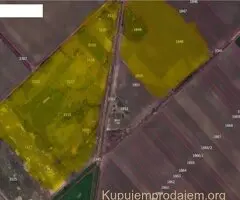 Poljoprivredno zemljiste 9.8 hektara Odžaci-Lalić