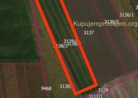 Zemljiste 58 ari Stara Pazova - 2/3