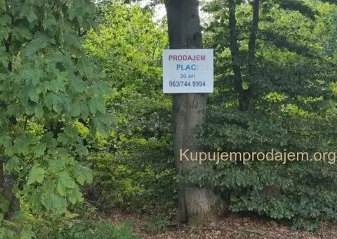 Prodajem plac na planini Goč - 5/5
