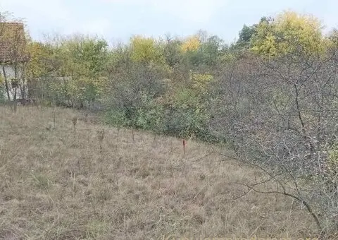 Plac Devojački Bunar
