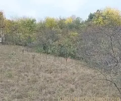 Plac Devojački Bunar