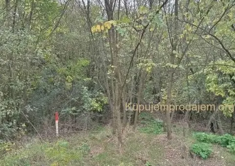 Plac Devojački Bunar - 2/2