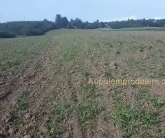 Placevi na prodaju Mladenovac-Vlaška