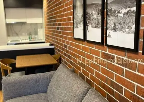 Luksuzan apartman na Zlatiboru,konaka apartmani & Spa - 3/6