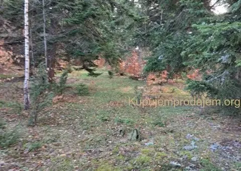 Plac Zlatibor selo Stublo - 2/15