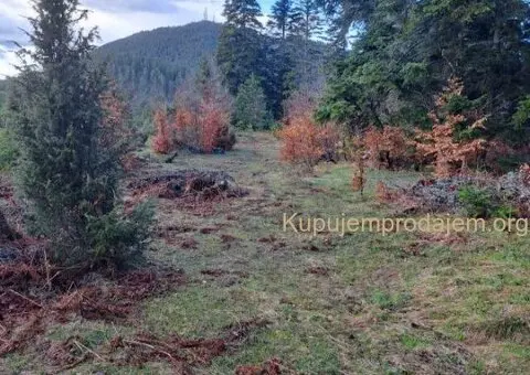 Plac Zlatibor selo Stublo - 4/15