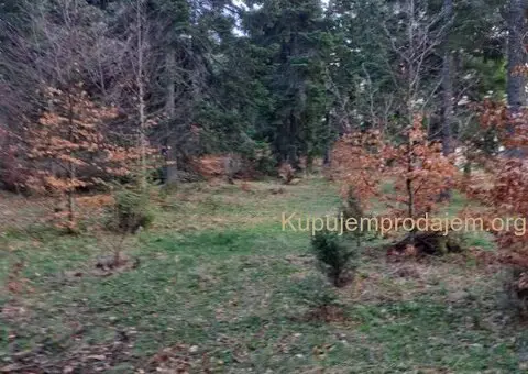 Plac Zlatibor selo Stublo - 5/15