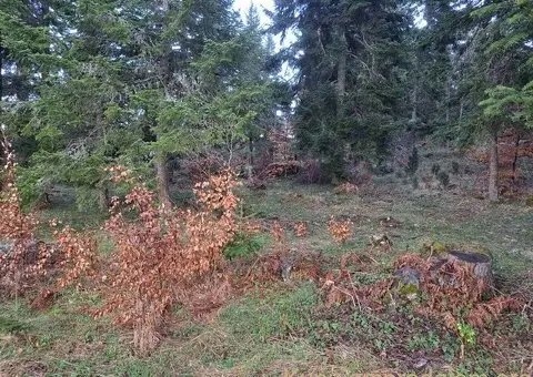 Plac Zlatibor selo Stublo - 8/15