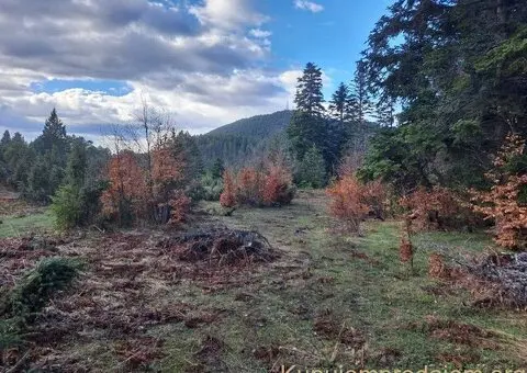 Plac Zlatibor selo Stublo - 10/15