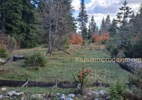 Plac Zlatibor selo Stublo - 11/15