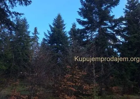 Plac Zlatibor selo Stublo - 12/15