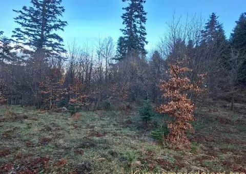 Plac Zlatibor selo Stublo - 13/15