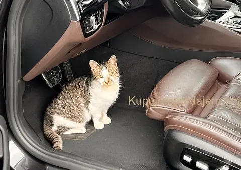 BMW G30 M Sport Plus - 1/13