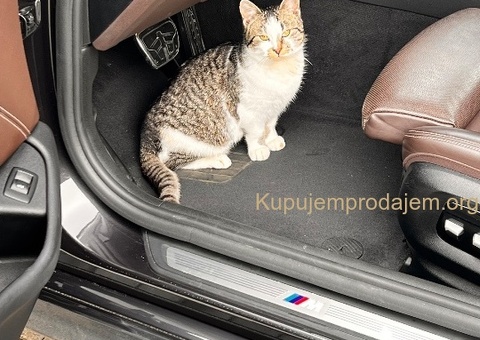 BMW G30 M Sport Plus - 2/13