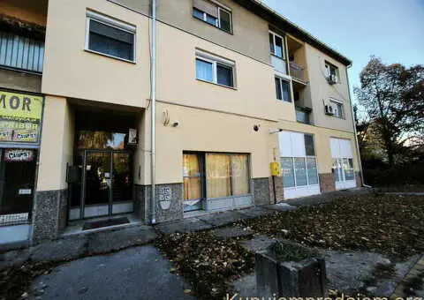 Izdajem “pet Friendly” dvosoban stan - Subotica - 6/10