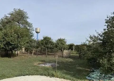 Kuća sa voćnjacima Sombor-Čonoplja