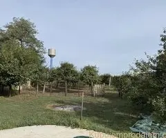 Kuća sa voćnjacima Sombor-Čonoplja