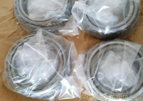 Valjkasti lezajevi - 3/4