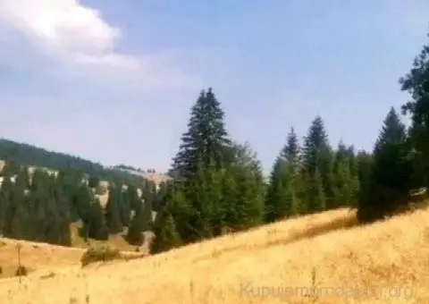 Placevi na Kopaoniku - 3/8