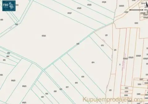 Prodajem zasad borovnice Sabac-Varna - 11/13