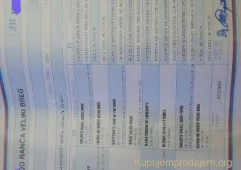 Štenci patuljastih šnaucera - 7/8