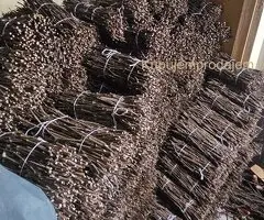 NA PRODAJU: Isečena Loza 1 KLASE za Kalemljenje (Kober BB)