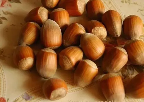 Kvalitetne sertifikovane vocne sadnice iz Rasadnika Antic - 2/7