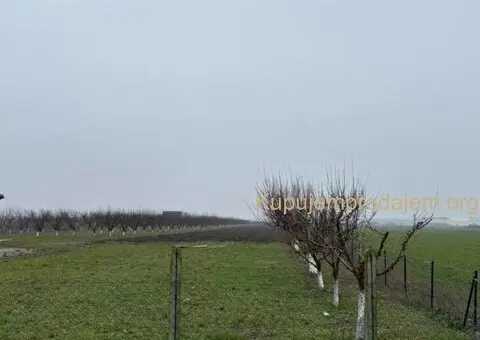 Plac Ugrinovci centar, 110 ari + voćnjak Uknjižen 1/1 - 1/10