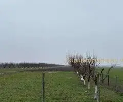 Plac Ugrinovci centar, 110 ari + voćnjak Uknjižen 1/1