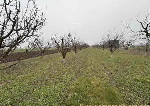 Plac Ugrinovci centar, 110 ari + voćnjak Uknjižen 1/1 - 2/10