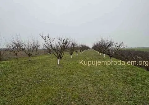 Plac Ugrinovci centar, 110 ari + voćnjak Uknjižen 1/1 - 3/10